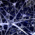 How to Program a Human – Part 3: Communication I was talking with my girlfriend who mentioned that in her Speech class they were discussing the forms of Communication and what exactly is taking place. Inflection, body language, verbal...