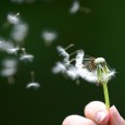 I’ve run an online community for nearly a decade now – and many spin-offs and other projects & even job opportunities have been the result of what I’ve learned while...